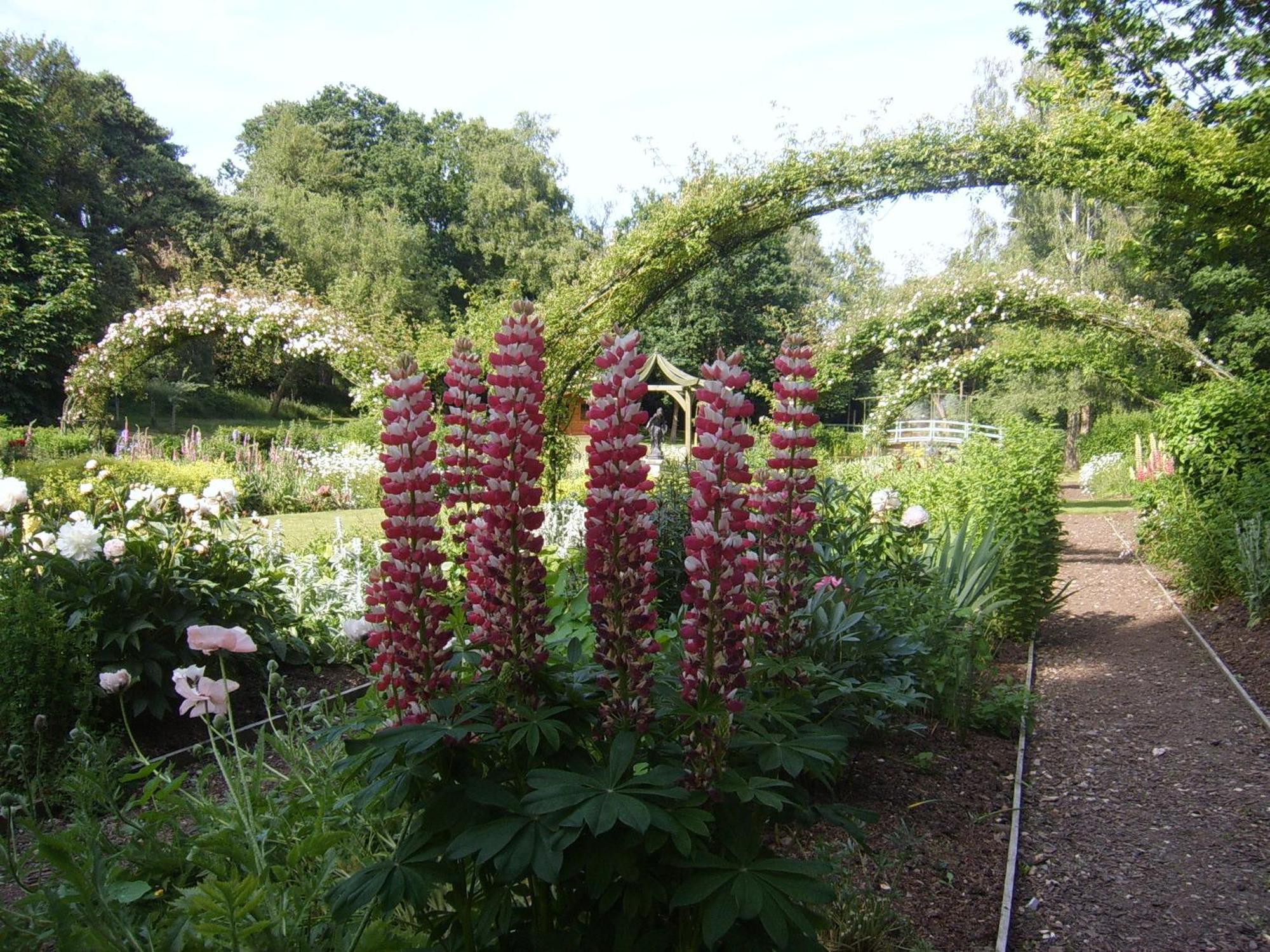 Passford House Hotel Lymington Esterno foto